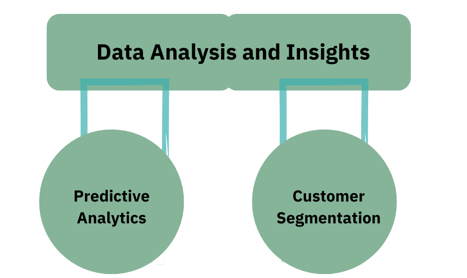 Data Analysis and Insights